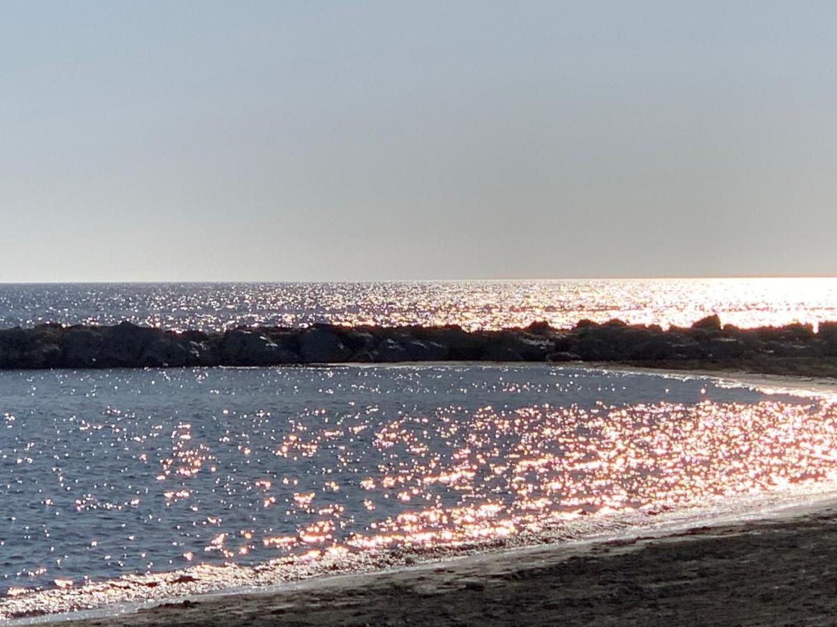 Apartamento Plumaria Malaga Bagian luar foto